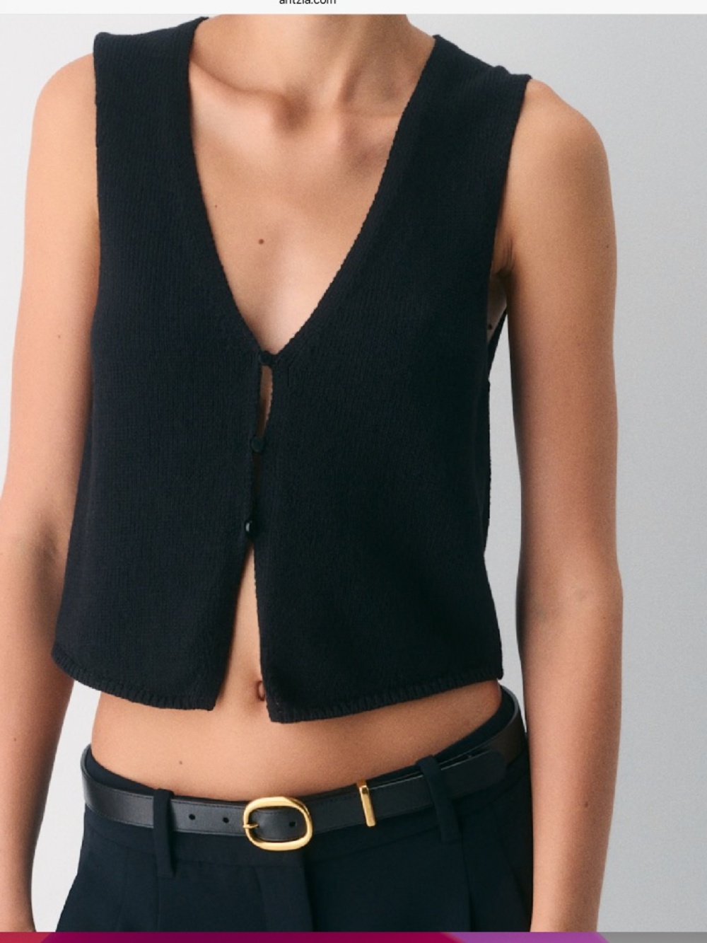 Wilfred Basque Sweater Vest Aritzia